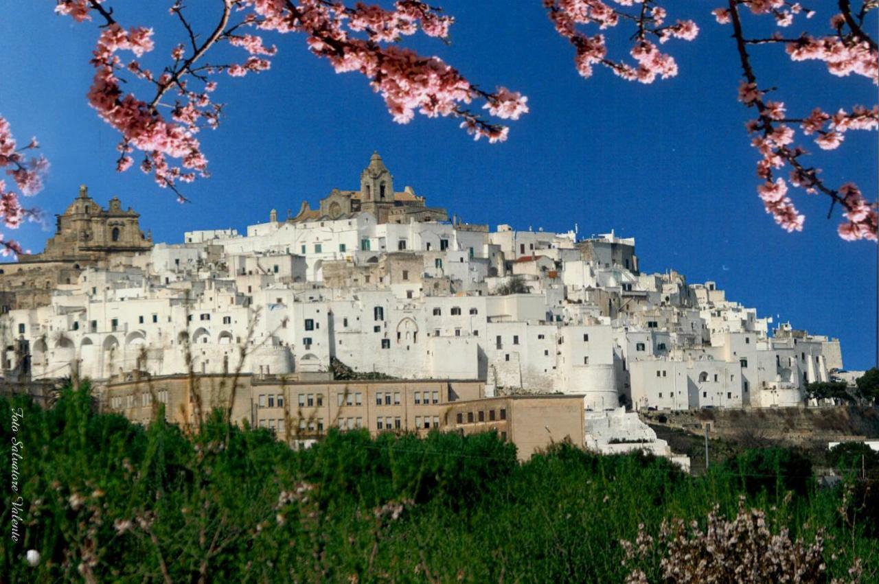 Vila Casa Melpi Ostuni Exteriér fotografie